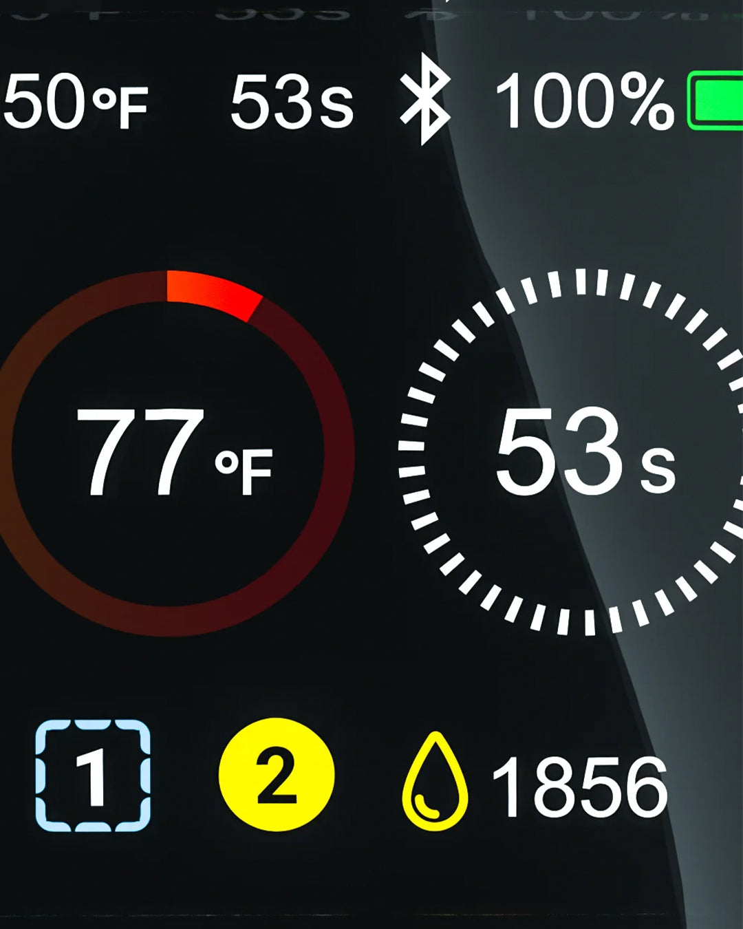 Focus V - Carta 2 - Forest