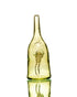 Costa Glass - Sake Bottle Bubbler - Green (CFL)